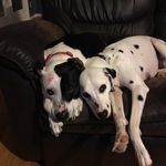 Stephen Roark - @stephenroark - Instagram