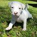 Steven Rogerson - Facebook
