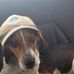 Stephen Rohrer - Facebook