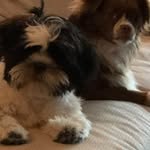 Stephen Rolfe - @rolfe.stephen - Instagram