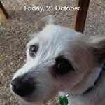Steven Rolfe - @rolfe.steven - Instagram