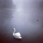 Stephen Romain - @quard.2020 - Instagram