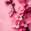 Stephen Ronald - @stephen.ronald8 - TikTok