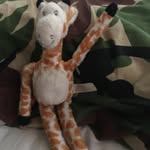 Stephen rose - @stephenrose382 - Instagram