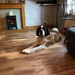 Steve Rosier - @stephen.rosier.3 - Instagram