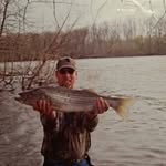 Stephen Ruby - @stephenruby7120 - Instagram