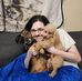 Stephen Rugg - Facebook