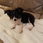 Stephen Rushing - @stephenr313 - Instagram