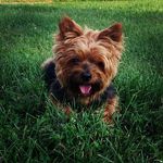 Stephen Russo - @stephenrusso3759 - Instagram