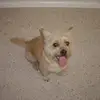 Steve - @stephen.russo52 - TikTok