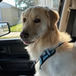 Stephen Sager - @stephensager - Instagram