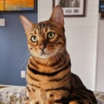 Stephen Salter - @stephen_salter - Instagram