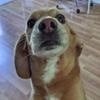 Stephen Salyer - @stephen.salyer - TikTok