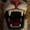 The COUGAR - @stephen_sarver56 - TikTok