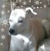 Steve Sasser - Facebook