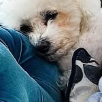 Stephen Scallan - @stephen.scallan.56 - Instagram
