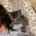 Steven Scallan - Facebook