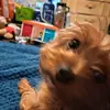 Steven Scarbrough - @steven.scarbrough4 - TikTok