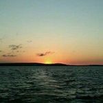Stephen Scearce - @stephenscearce1972 - Instagram
