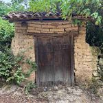 Stephen Schall - @schallstephen - Instagram