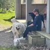 stephen schaub - @stephenschaub4 - TikTok