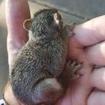 Stephen Schaub - @stephen.schaub.7 - Instagram