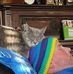 Steven Schaub - Facebook