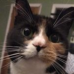 Stephen Scheidt - @stephen_scheidt - Instagram