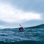 Stephen Schreck - @stephen.schreck - Instagram