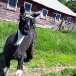 Stephen Schueller - @schuellerstephen - Instagram
