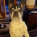 Stephen Schutt - Facebook