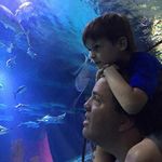 Stephen Schuttloffel - @stephenschuttloffel - Instagram