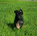 Stephen Sedlock - Facebook