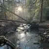 Steven Shedlock - @steven.shedlock - TikTok