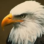 Stephen Craig Seibert - @phillybarguy - Instagram