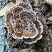 Stephen Craig Seibert - Facebook