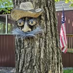 Steve Seibert - @steven.seibert.376 - Instagram