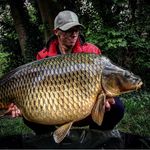 Steven Seibert - @stevens_carpblog - Instagram