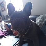 Steven Seibert - @der_urmel_aus_dem_ei_unicat - Instagram