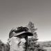 Steven Seibert - Facebook