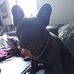 Steven Seibert - Facebook