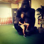 Stephensemple - @stephensemple - Instagram