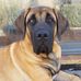 Steve Semple - Facebook
