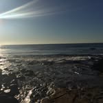 Steven Semple - @steven_semple - Instagram