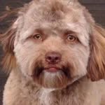 Stephen Serrano - @stephen.serrano.33449 - Instagram