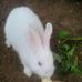 Stephen Sequina - Facebook