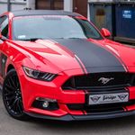 Stephen Shackleton - @stephenandrewshackleton - Instagram