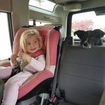 Stephen Shackleton - @stephenshack76 - Instagram