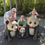Stephen Shallcross - @steve_shallx - Instagram
