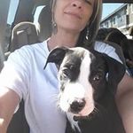 Stephen Shannon Cahill - @stephenshannoncahill - Instagram